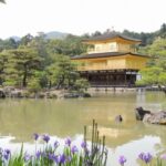 仁和寺の右京区周辺は嵯峨嵐山や高尾も人気スポットのホテル旅館案内